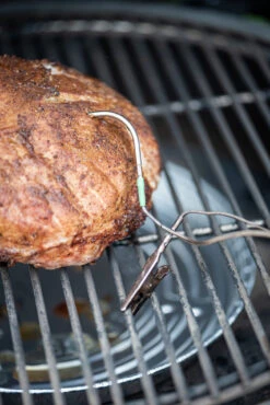 Big Green Egg Eggenius Temperatuur Controller -Big Green Egg Winkel big green egg eggenius temperatuur controller 4