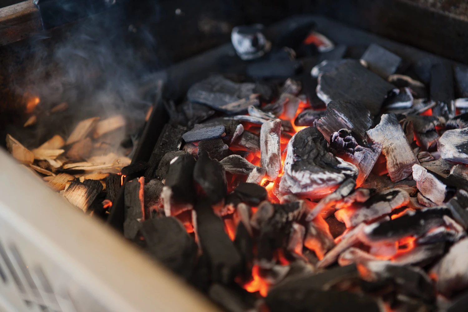 Napoleon Gietijzeren Houtskoolinzet 4 Napoleon Gietijzeren Houtskoolinzet - Afbeelding 2