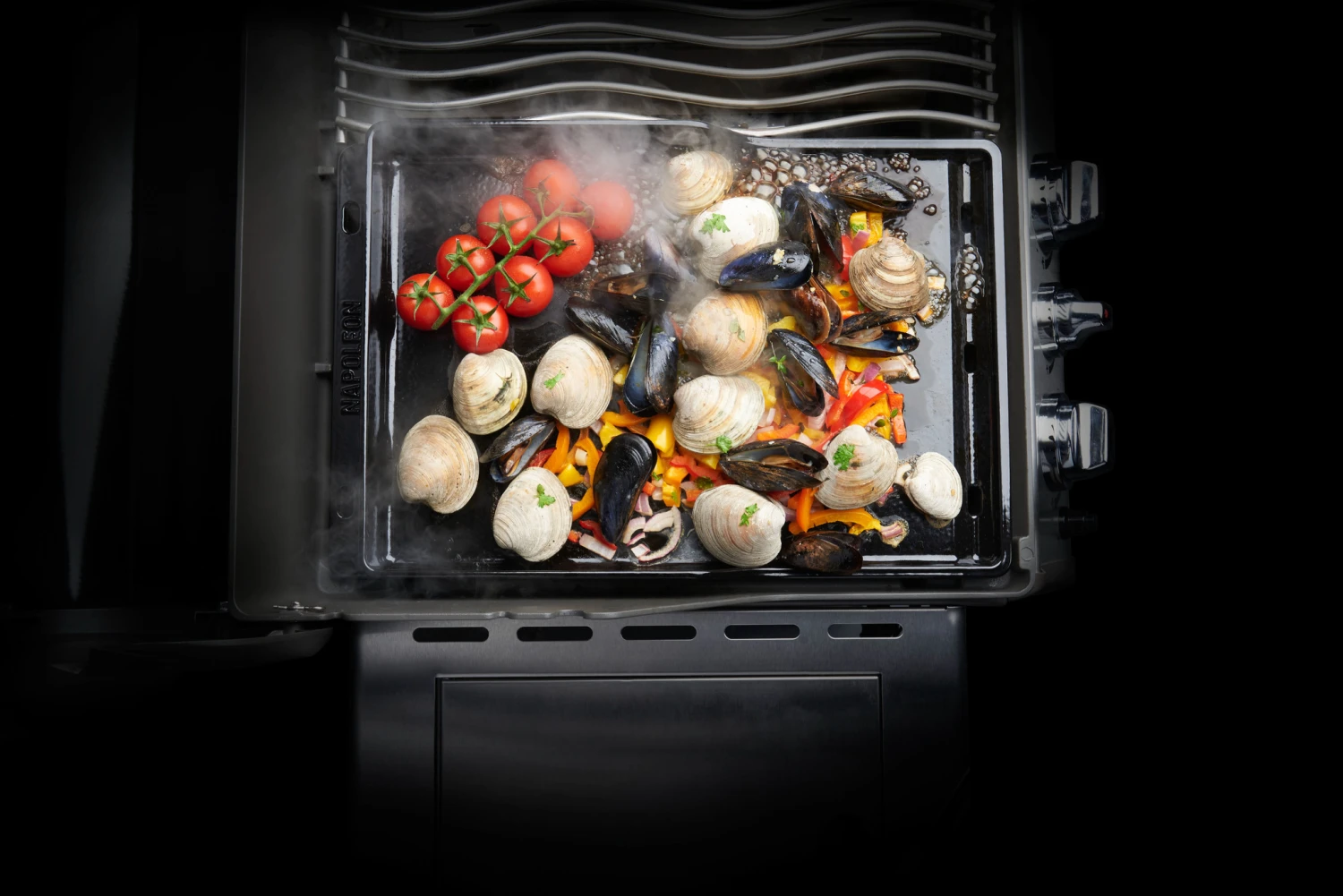 Napoleon Plancha 4 Napoleon Plancha - Afbeelding 2