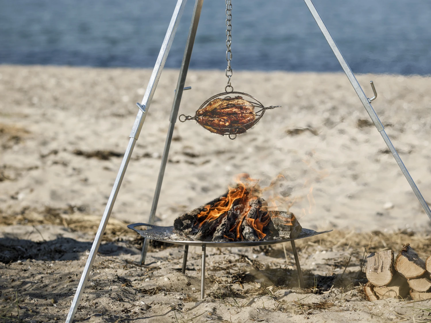 Petromax Grillmand Gevogelte 8 Petromax Grillmand Gevogelte - Afbeelding 6